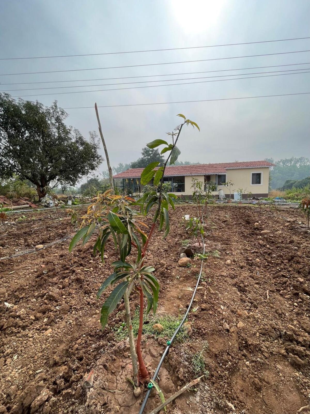 Aj Farms Villa Welhe Екстериор снимка